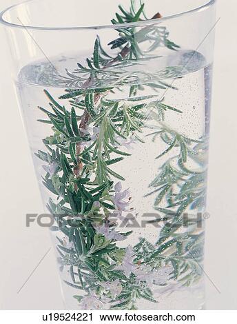 Stock Image - Cut Out, Glass, Indoor, Close-Up, Herb Tea, Tea. Fotosearch