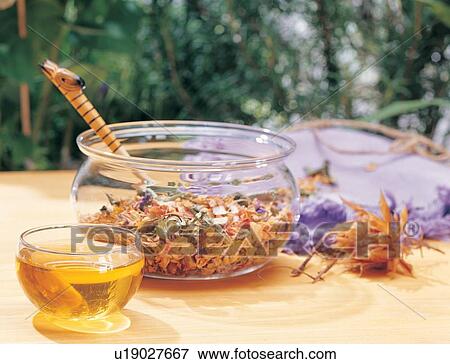 Stock Photo - Herbal, Medicinal Herb, Close-Up, Non-alcoholic Beverage, Alternative Medicine. Fotosearch