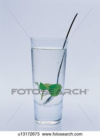 Indoor, One Object, Herb Tea, Close-Up, Leaf, Transparent, White Background View Large Photo Image Stock Image - Indoor, One Object, Herb Tea, Close-Up, Leaf, Transparent, White Background. Fotosearch