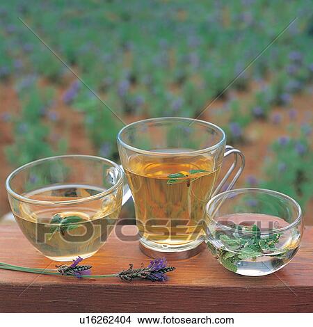 Medicine, Outdoor, Shadow, Herbal, Green, Alternative Medicine View Large Photo Image Picture - Medicine, Outdoor, Shadow, Herbal, Green, Alternative Medicine. Fotosearch