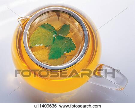Teacup, Medicine, Herbal Tea, Mint Tea, Alternative Medicine View Large Photo Image Stock Photograph - Teacup, Medicine, Herbal Tea, Mint Tea, Alternative Medicine. Fotosearch