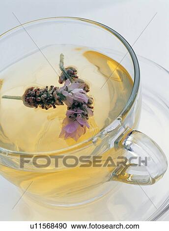 Stock Image - Teacup, Reflection, Part Of, Saucer, Alternative Medicine. Fotosearch