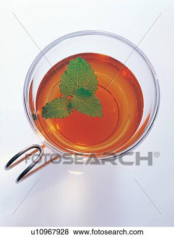 White Background, Herbal, Herbal Tea, Half Full, Directly Above, Tea, Medicinal Herb View Large Photo Image Stock Photo - White Background, Herbal, Herbal Tea, Half Full, Directly Above, Tea, Medicinal Herb. Fotosearch