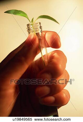 Back Lit, Close-Up, Glass, Holding, Human Finger View Large Photo Image Stock Photography - Back Lit, Close-Up, Glass, Holding, Human Finger. Fotosearch