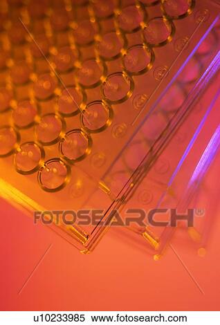 Stock Photography - Biology, Empty. Fotosearch