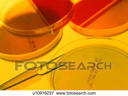 Chemical, Close-Up, Equipment, Glass, Group Of Objects View Large Photo Image Stock Photo - Chemical, Close-Up, Equipment, Glass, Group Of Objects. Fotosearch