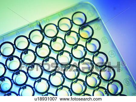 Chemical, Equipment, Empty, Close-Up, Arrangement View Large Photo Image Stock Photo - Chemical, Equipment, Empty, Close-Up, Arrangement. Fotosearch