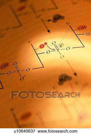 Close-Up, Diagram, Document, Drawing, Full Frame View Large Photo Image Stock Photo - Close-Up, Diagram, Document, Drawing, Full Frame. Fotosearch
