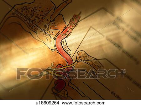Close-Up, Diagram, Drawing, Full Frame View Large Photo Image Picture - Close-Up, Diagram, Drawing, Full Frame. Fotosearch