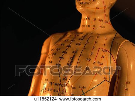 Picture - Diagram, Human Figure, Laboratory. Fotosearch