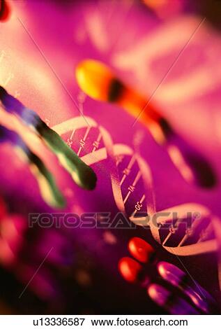Stock Photo - Representation, Dna, Strand, Medical Research, In The Bio Lab. Fotosearch