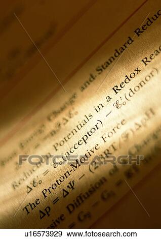 Text, Medical Record, Indoor, Formula, Laboratory, Printout View Large Photo Image Stock Photo - Text, Medical Record, Indoor, Formula, Laboratory, Printout. Fotosearch