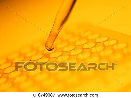 Toned Image, Pipette, Test Tube Rack, Dropper, Rack, Biology View Large Photo Image Stock Photo - Toned Image, Pipette, Test Tube Rack, Dropper, Rack, Biology. Fotosearch