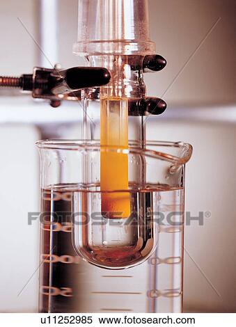 beaker, chemical, experiment View Large Photo Image Stock Photography - beaker, chemical, experiment. Fotosearch