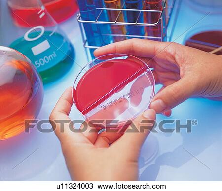 checking, chemical, glass, human hands, laboratory equipment View Large Photo Image Stock Image - checking, chemical, glass, human hands, laboratory equipment. Fotosearch