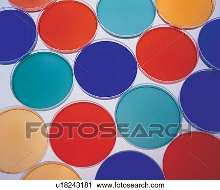 laboratory glassware, indoor, experimental, setup, research, solutions View Large Photo Image Stock Image - laboratory glassware, indoor, experimental, setup, research, solutions. Fotosearch