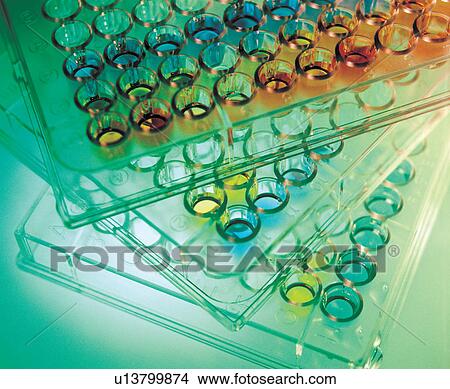 research, paraphernalia, test, liquid, experimental, test tube rack View Large Photo Image Picture - research, paraphernalia, test, liquid, experimental, test tube rack. Fotosearch