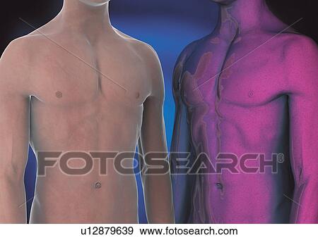 biological science, biotechnology, atomic View Large Photo Image Stock Photo - biological science, biotechnology, atomic. Fotosearch