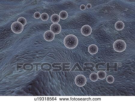 Picture - close-up, health, healthcare. Fotosearch