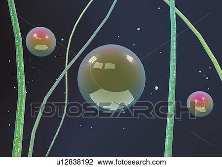 Stock Image - close-up, health, healthcare. Fotosearch
