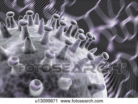 close-up, health, healthcare View Large Photo Image Stock Image - close-up, health, healthcare. Fotosearch