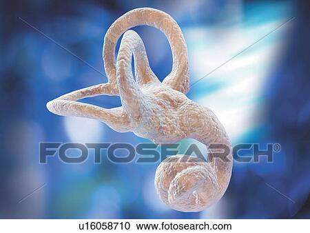 Stock Image - close-up, health, healthcare. Fotosearch