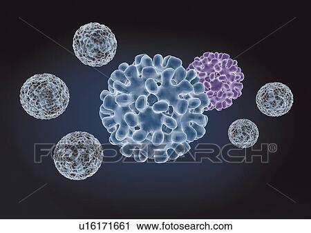 close-up, health, healthcare View Large Photo Image Stock Image - close-up, health, healthcare. Fotosearch