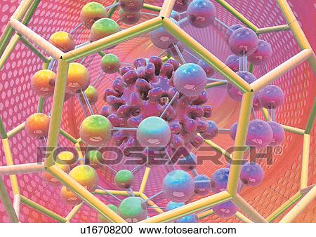 close-up, health, healthcare View Large Photo Image Stock Image - close-up, health, healthcare. Fotosearch