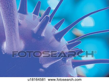 close-up, health, healthcare View Large Photo Image Stock Image - close-up, health, healthcare. Fotosearch