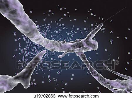 Stock Image - close-up, health, healthcare. Fotosearch