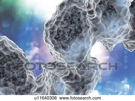 Stock Photo - close-up, health, healthcare. Fotosearch