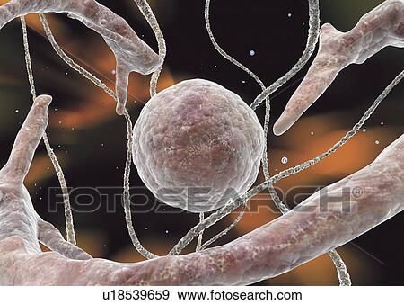 Stock Photo - close-up, health, healthcare. Fotosearch