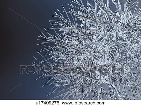 Stock Photograph - close-up, health, healthcare. Fotosearch