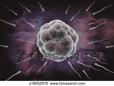 close-up, health, healthcare View Large Photo Image Stock Photograph - close-up, health, healthcare. Fotosearch