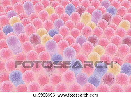 close-up, health, healthcare View Large Photo Image Stock Photograph - close-up, health, healthcare. Fotosearch