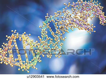 Stock Image - Deoxyribonucleic acid. Fotosearch