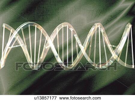 Stock Photo - Deoxyribonucleic acid. Fotosearch
