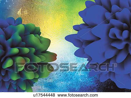 health, lab, magnified, indoor, close-up, microbiology View Large Photo Image Stock Photo - health, lab, magnified, indoor, close-up, microbiology. Fotosearch
