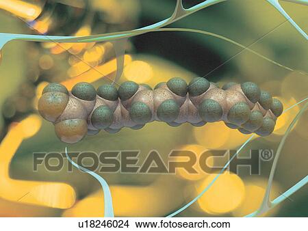 health, microscopy, technology, biological science, science, medical View Large Photo Image Picture - health, microscopy, technology, biological science, science, medical. Fotosearch