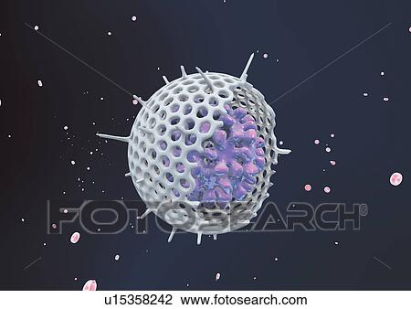 healthcare, research, laboratory, lab, biotechnology View Large Photo Image Stock Image - healthcare, research, laboratory, lab, biotechnology. Fotosearch
