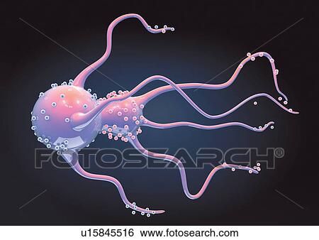 Stock Photograph - laboratory, biotechnology, microorganism, healthcare, close-up, microbiology, technology. Fotosearch