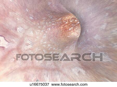 laboratory, healthcare, lab, science, traits, health View Large Photo Image Stock Photo - laboratory, healthcare, lab, science, traits, health. Fotosearch