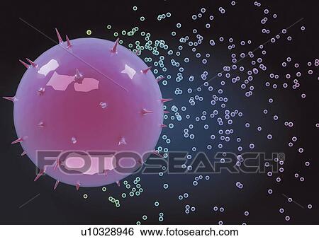 Stock Photograph - medical, biotechnology, indoor, healthcare, minute, laboratory. Fotosearch