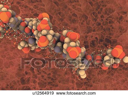 microbiology, indoor, biological science, lab, medical, microscopic View Large Photo Image Stock Photo - microbiology, indoor, biological science, lab, medical, microscopic. Fotosearch