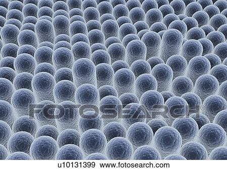 Stock Photo - Microorganism. Fotosearch