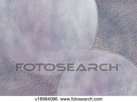 research, health, microbiology, magnified, science, traits View Large Photo Image Stock Photograph - research, health, microbiology, magnified, science, traits. Fotosearch