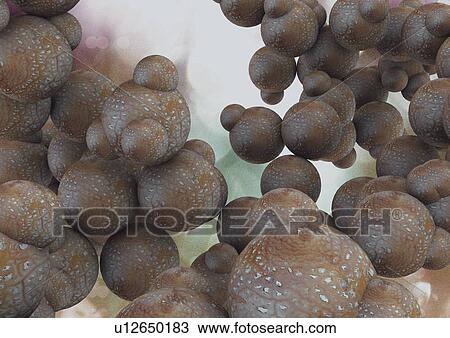 research, microscopic, microscopy, atomic, biological science, lab View Large Photo Image Stock Image - research, microscopic, microscopy, atomic, biological science, lab. Fotosearch