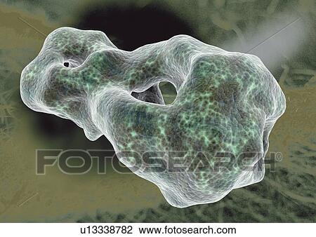 Stock Image - scientific, close-up, microscopic, indoor, traits, science. Fotosearch