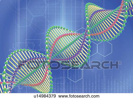scientific, lab, science, microbiology, double helix, biological science View Large Photo Image Stock Photo - scientific, lab, science, microbiology, double helix, biological science. Fotosearch