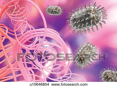 Baculoviridae, Computer Graphic, Close-Up, Biotech, Atom View Large Photo Image Picture - Baculoviridae, Computer Graphic, Close-Up, Biotech, Atom. Fotosearch